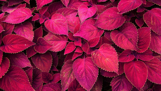 1299926 (a): :2560x1440